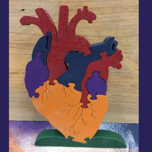 Human Heart, painted