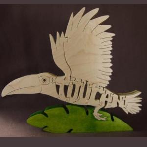 Toucan, flying Toucan, flying