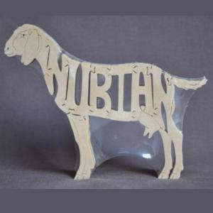 Goat, Nubian Goat, Nubian