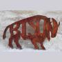 Bison