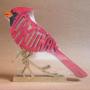 Cardinal