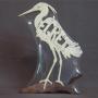 Egret