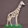 Giraffe, standing