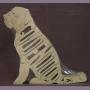 Golden Doodle