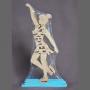 Ice Skater