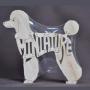 Miniature Poodle