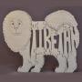 Tibetan Terrier, face front