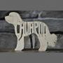 Cavapoo