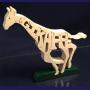 Giraffe, running