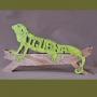 Iguana
