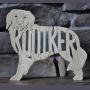 Kooiker