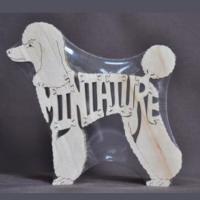 Miniature Poodle