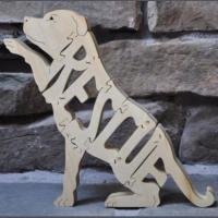 Rescue, Pit Bull