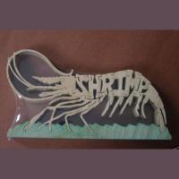 Shrimp