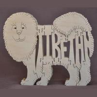 Tibetan Terrier, face front
