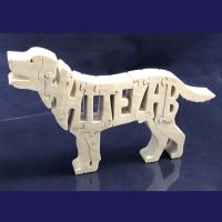 Labrador, White